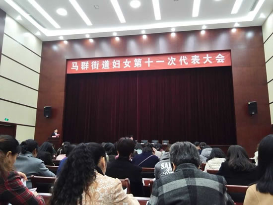 江苏中富郎丽出席马群街道第十一次妇女代表大会